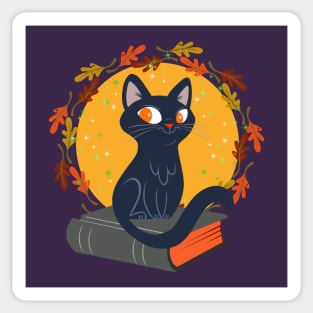 black cat and spell book Sticker